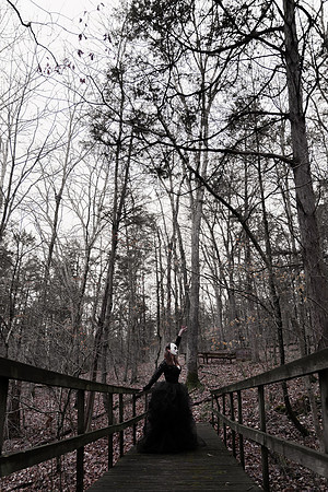 Sarah Evans - Brittany Lynn Imagery LLC - St Charles MO Photographer -94