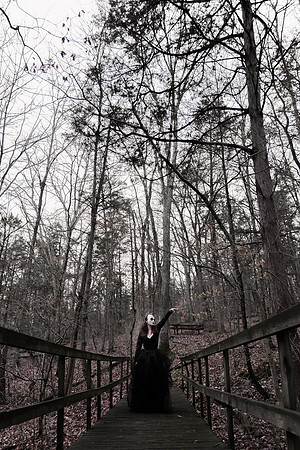 Sarah Evans - Brittany Lynn Imagery LLC - St Charles MO Photographer -101