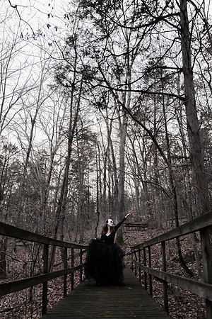 Sarah Evans - Brittany Lynn Imagery LLC - St Charles MO Photographer -102