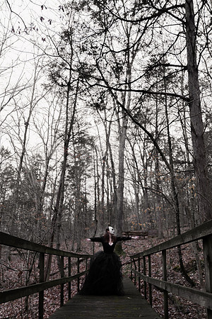 Sarah Evans - Brittany Lynn Imagery LLC - St Charles MO Photographer -104
