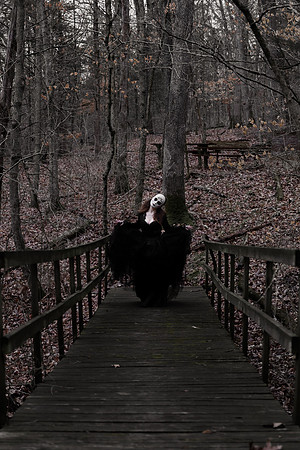 Sarah Evans - Brittany Lynn Imagery LLC - St Charles MO Photographer -117
