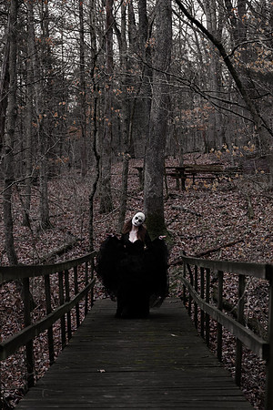 Sarah Evans - Brittany Lynn Imagery LLC - St Charles MO Photographer -118