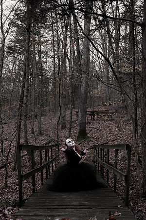Sarah Evans - Brittany Lynn Imagery LLC - St Charles MO Photographer -137