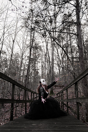 Sarah Evans - Brittany Lynn Imagery LLC - St Charles MO Photographer -145