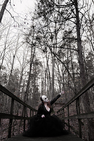 Sarah Evans - Brittany Lynn Imagery LLC - St Charles MO Photographer -149