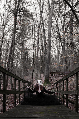 Sarah Evans - Brittany Lynn Imagery LLC - St Charles MO Photographer -157
