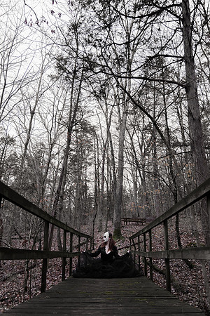 Sarah Evans - Brittany Lynn Imagery LLC - St Charles MO Photographer -159