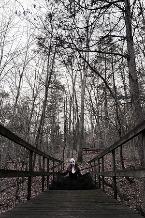 Sarah Evans - Brittany Lynn Imagery LLC - St Charles MO Photographer -160