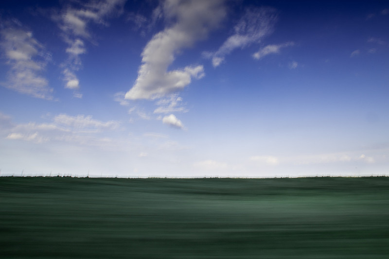 Terrestrial Brush Stroke