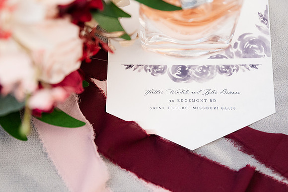 Briones 8 - Brittany Lynn Imagery LLC - St Charles MO Photographer -9