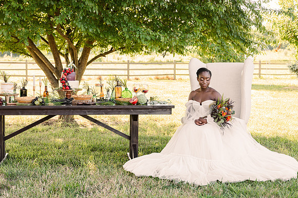 The Vintage Farmhaus Content Day - Brittany Lynn Imagery - STL St Louis Wedding Portrait Photographer-6