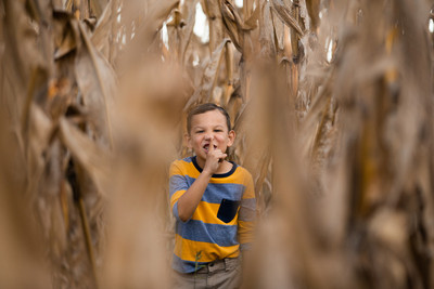 brittany lynn imagery st charles mo photography family-1-2