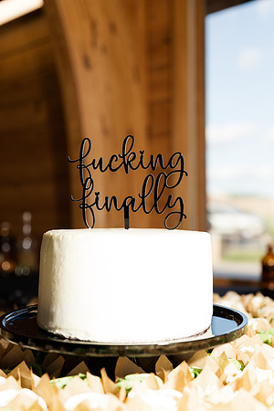 1 Highlights - Sam and George Wedding Collection - Oday Park Quail Ridge Park - Brittany Lynn Imagery LLC - St Charles MO Wedding Portrait Photographer -20