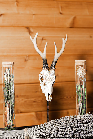 1 Highlights - Sam and George Wedding Collection - Oday Park Quail Ridge Park - Brittany Lynn Imagery LLC - St Charles MO Wedding Portrait Photographer -13
