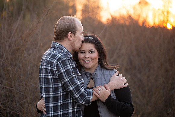brittany lynn imagery st charles mo photography family senior children engagement-4029