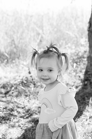 - Brittany Lynn Imagery LLC - Brittany Branson - STL St Louis St Charles MO Portrait Photographer-100