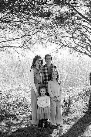 - Brittany Lynn Imagery LLC - Brittany Branson - STL St Louis St Charles MO Portrait Photographer-22