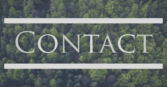 Contact Button
