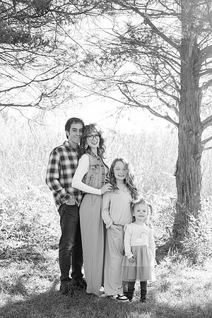 - Brittany Lynn Imagery LLC - Brittany Branson - STL St Louis St Charles MO Portrait Photographer-92