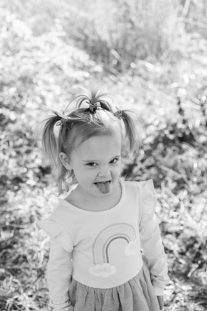 - Brittany Lynn Imagery LLC - Brittany Branson - STL St Louis St Charles MO Portrait Photographer-104