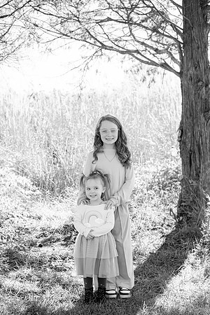 - Brittany Lynn Imagery LLC - Brittany Branson - STL St Louis St Charles MO Portrait Photographer-35