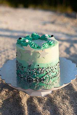 Brittany Lynn Imagery St. Charles MO Cake Smash 50th Birthday Aunt Susan-3
