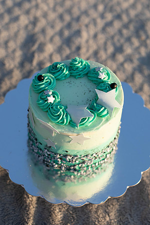 Brittany Lynn Imagery St. Charles MO Cake Smash 50th Birthday Aunt Susan-5