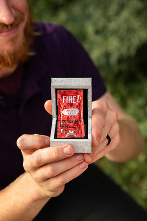 Taco Bell Engagement Photos Brittany Lynn Imagery LLC-0072