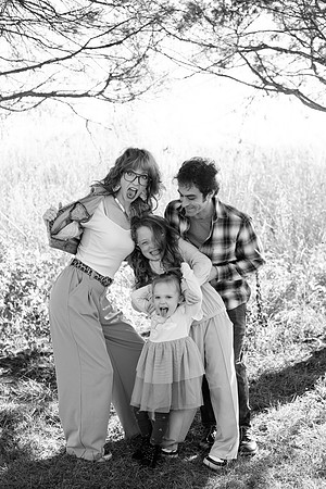 - Brittany Lynn Imagery LLC - Brittany Branson - STL St Louis St Charles MO Portrait Photographer-19