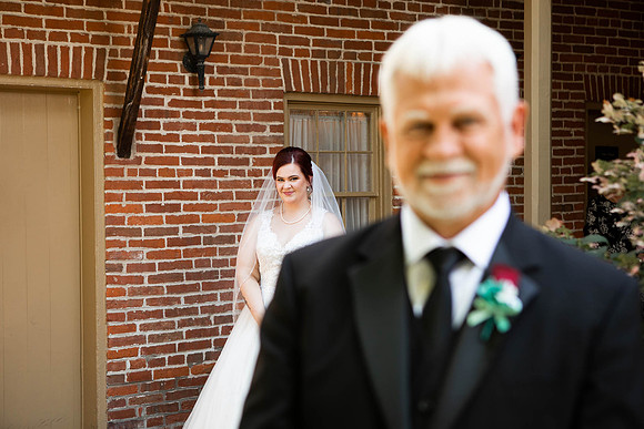 Brittany Lynn Imagery LLC St Charles MO Photographer Conservatory Wedding Main Street Historic St Charles -0072
