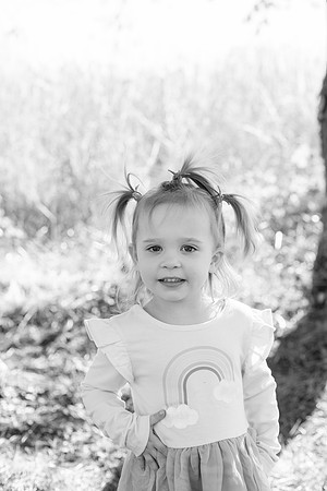 - Brittany Lynn Imagery LLC - Brittany Branson - STL St Louis St Charles MO Portrait Photographer-98