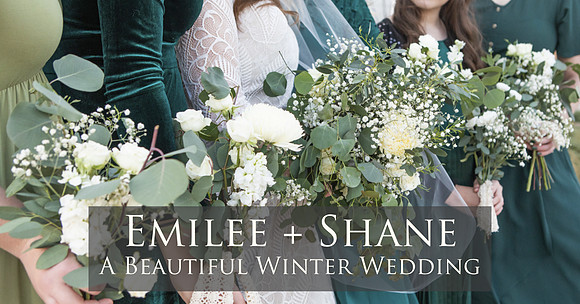 Emilee and Shane Brittany Lynn Imagery LLC St Charles MO St Louis Photographer