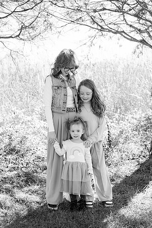 - Brittany Lynn Imagery LLC - Brittany Branson - STL St Louis St Charles MO Portrait Photographer-43