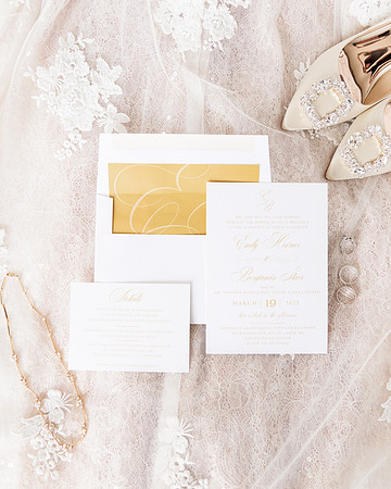 Marriott Grand St Louis Wedding - Forest Park - Worlds Fair Pavillion - Grand Basin - Brittany Lynn Imagery LLC - STL St Louis MO Wedding Portrait Photographer -1