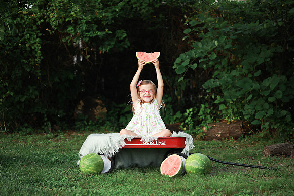 Brittany Lynn Imagery St. Charles MO Family Engagement Couples Children Seniors Photography-8