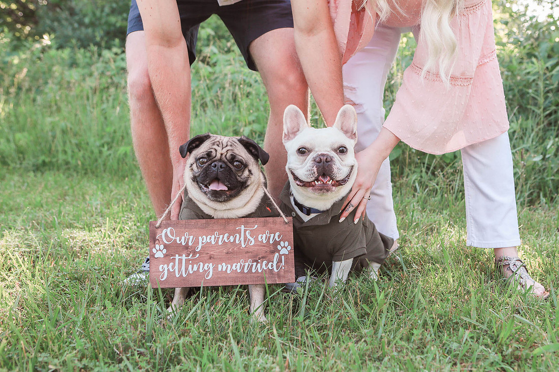 Brittany Lynn Imagery LLC St. Charles MO Photographer Wedding Engagement STL St Louis -1207
