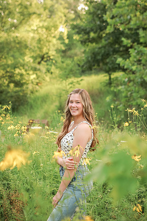Brittany Lynn Imagery St. Charles MO Family Engagement Couples Children Seniors Wedding Photography Photography-3