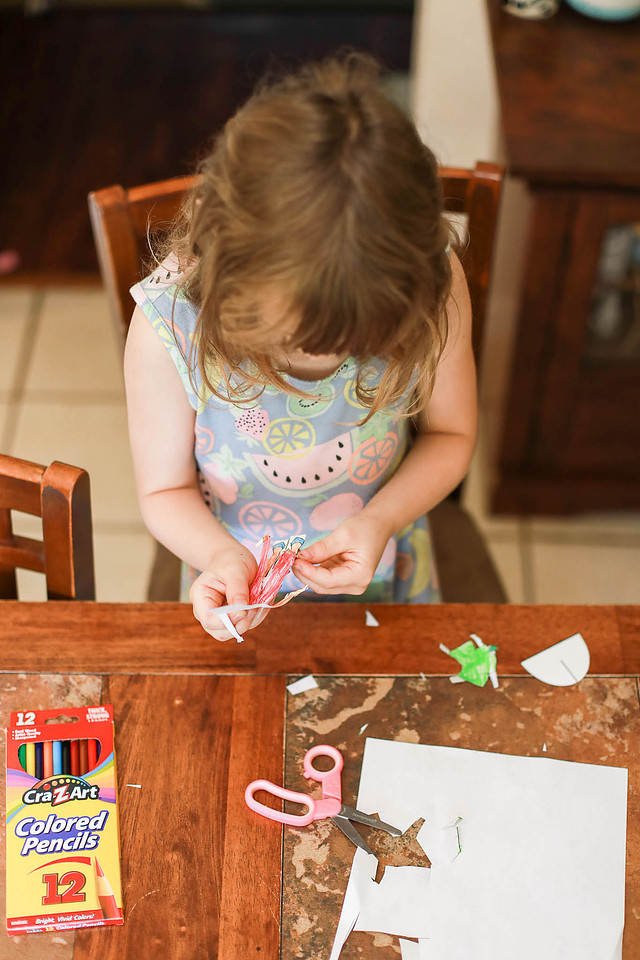 Photo Ideas for Back to School During Covid 19 - Homeschool - Distance Learning - Brittany Lynn Imagery St. Charles MO Family Engagement Couples Children Seniors Photography-8