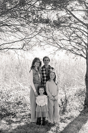 - Brittany Lynn Imagery LLC - Brittany Branson - STL St Louis St Charles MO Portrait Photographer-1