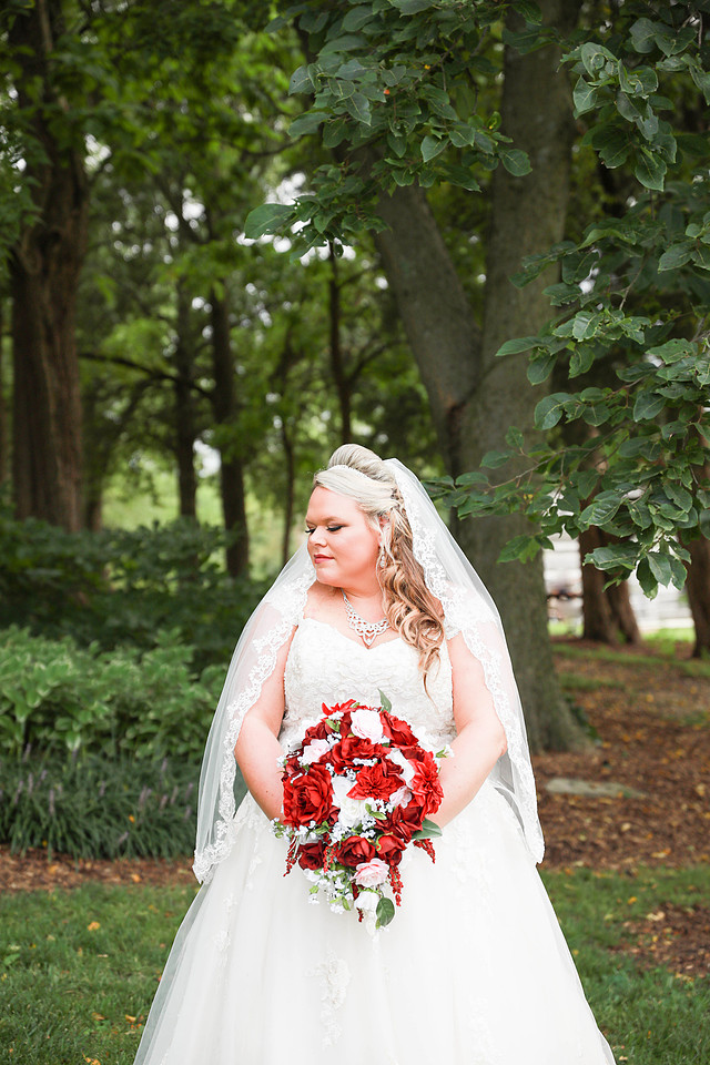 Sarah and Cody Sneak Peeks - A - Brittany Lynn Imagery St. Charles MO-2