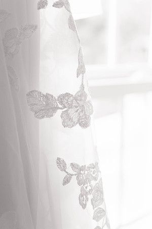 Sarah and Mike - B - Brittany Lynn Imagery St. Charles MO-2