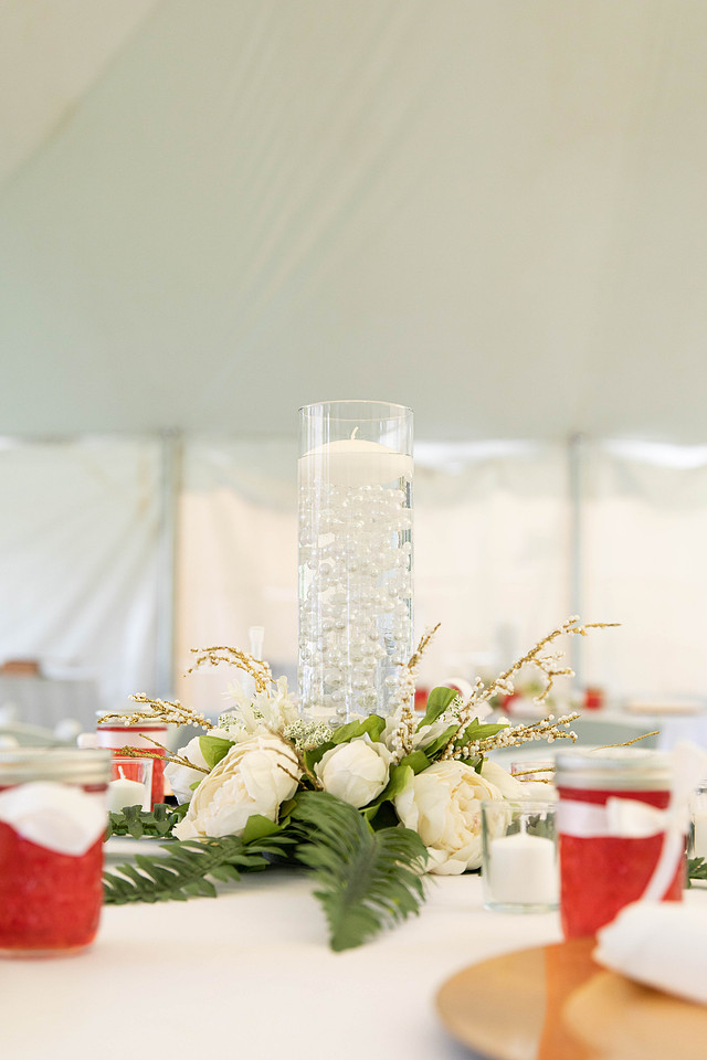 Lyndsey and Jason - A - Brittany Lynn Imagery St. Charles MO-8