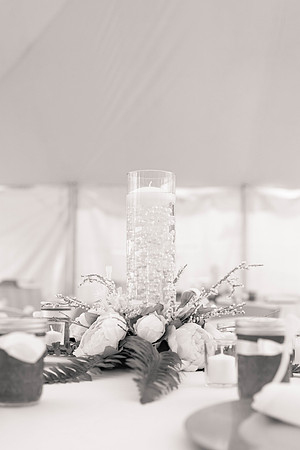Lyndsey and Jason - B - Brittany Lynn Imagery St. Charles MO-7