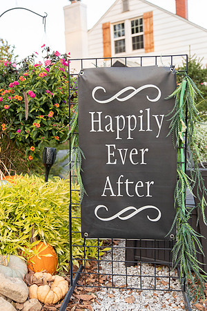 Claire and Javier - Marry Me Cottage - A - Brittany Lynn Imagery St. Charles MO-3