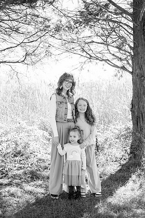 - Brittany Lynn Imagery LLC - Brittany Branson - STL St Louis St Charles MO Portrait Photographer-41