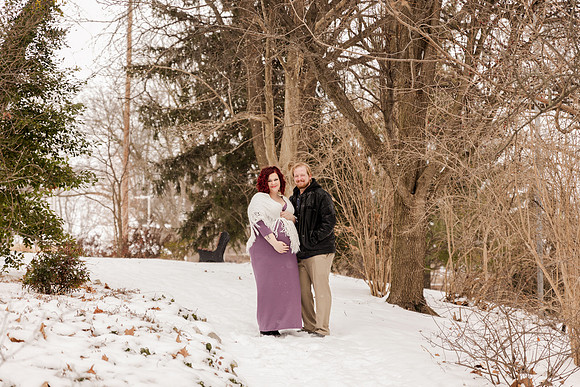 Henry - Blanchette Park Rau Garden - Winter Maternity - Brittany Lynn Imagery LLC - St Charles MO Photographer -1