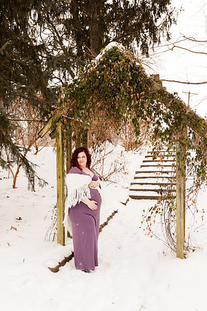 Henry - Blanchette Park Rau Garden - Winter Maternity - Brittany Lynn Imagery LLC - St Charles MO Photographer -8
