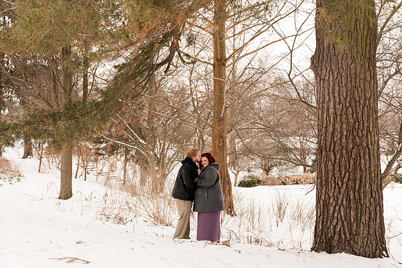 Henry - Blanchette Park Rau Garden - Winter Maternity - Brittany Lynn Imagery LLC - St Charles MO Photographer -19