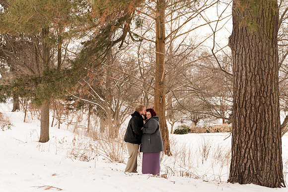 Henry - Blanchette Park Rau Garden - Winter Maternity - Brittany Lynn Imagery LLC - St Charles MO Photographer -20