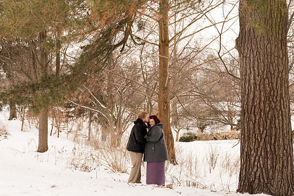 Henry - Blanchette Park Rau Garden - Winter Maternity - Brittany Lynn Imagery LLC - St Charles MO Photographer -21